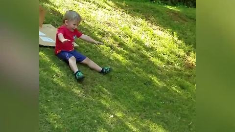 Little Boy Goes Sledding on Cardboard and Fails Gloriously