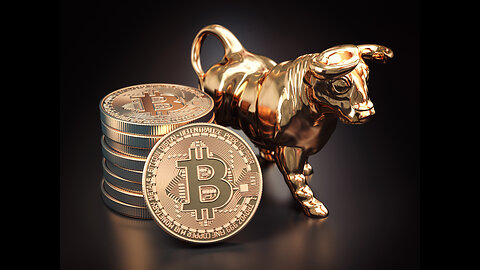 Bitcoin Bull Run 2023: The Global Gold Rush!