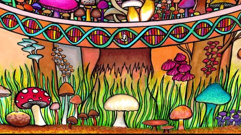 The Mush Room - An ART Collection of FUNGI - the Miracle Spores of eARTh - Midnight Animation