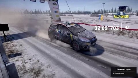 #WRC8 SS Sweden, #Ford Fiesta