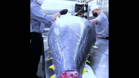 Processing a big barrel of a bluefin tuna in japan