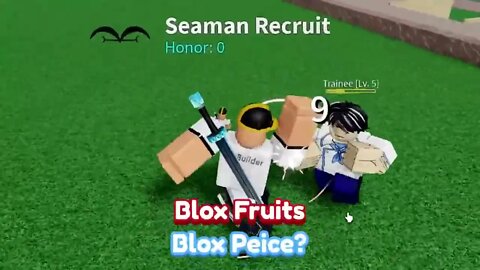 I Made Blox Fruits in 1 Hour 2