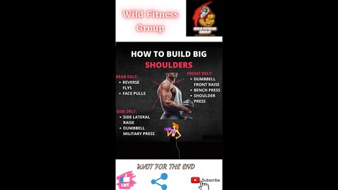 🔥How to build big shoulders🔥#shorts🔥#fitnessshorts🔥#wildfitnessgroup🔥14 march 2022🔥