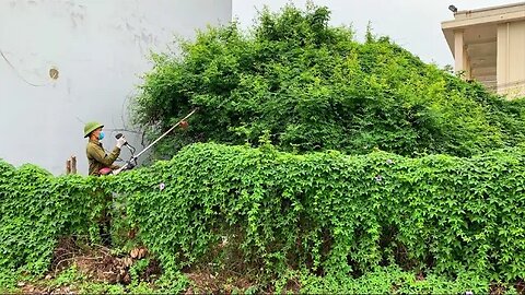 TRANSFORM the disaster of overgrown weeds covering the roof of a small abandoned warehouse