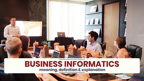 What is BUSINESS INFORMATICS?