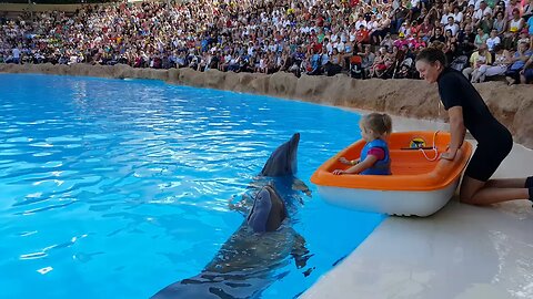 A 5-Year-Old's Enchanting Encounter with a Dolphin Delight.