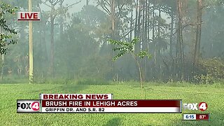 Brush fire in Fort Myers