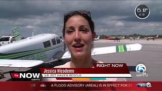 Plane airlifts food for hungry animals