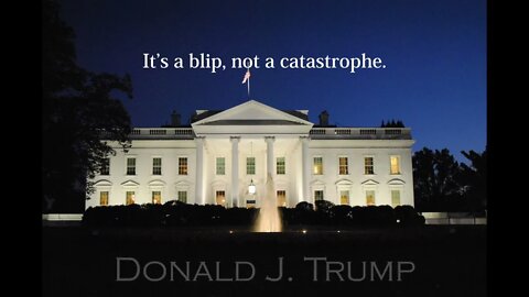 Donald Trump Quotes - It's a blip...