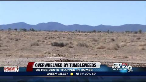 Tumbleweeds take over a town in California