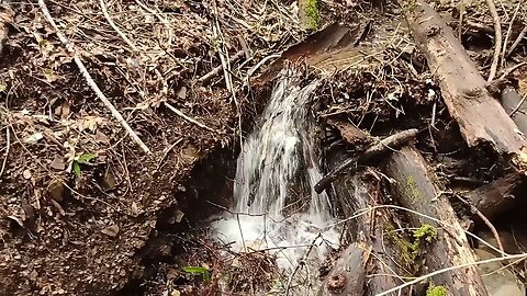 Stevens Canyon - "Slide Trail". Return Visit