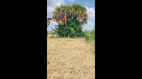 World Amazing Tree Cutting and Trimming Machine