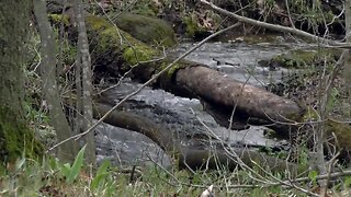 Riveredge Nature Center has miles of trails to explore while social distancing