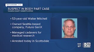 Suspect arrested in human body part case