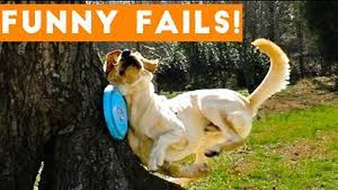 Epic Animal Fails Compilation