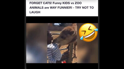 Try not to laugh 😂 with animals