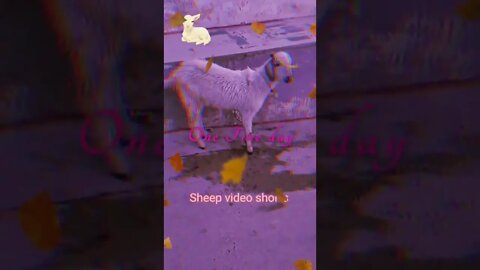 Cute sheep standing video for kids,#shorts,#sheep,#animal,#viral,#trending.