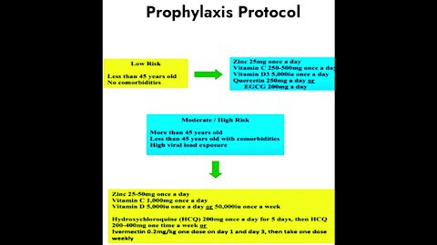 Dr. Zev Zelenko - How To Use Ivermectin & Hydroxychloroquine To Treat COVID