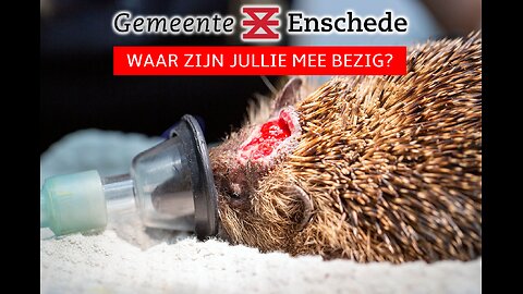 DE NATUURHAAT VAN DE GEMEENTE ENSCHEDE