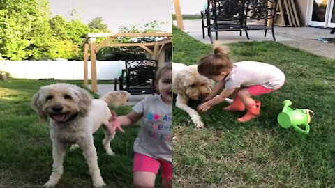 girl goes for a walk with her favorite dog to play ball 🤗⚽