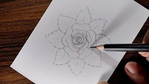 How to draw a Rose step by step