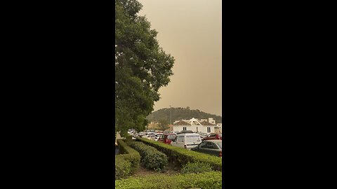 Calima en Malaga