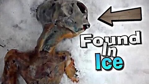 5 Terrifying and Creepy Things Discovered Frozen in Ice