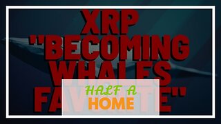 HALF A BILLION XRP Worth $161 MILLION Leaves Exchange XRP RICH LIST DATA Proves We’re EARLY