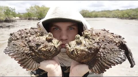 The World's Deadliest Aquarium! (Venomous Stonefish)