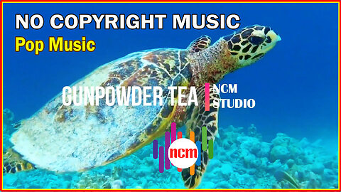 Gunpowder Tea - Mini Vandals: Pop Music, Happy Music, No Copyright Music @NCMstudio18 ​