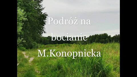 Podróż na bocianie -M.Konopnicka