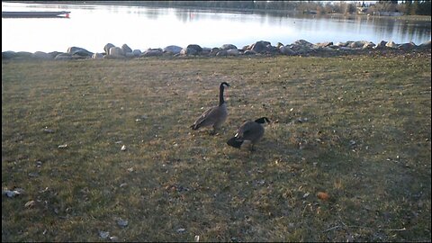 A Walk Through The Park In Lethbridge, Alberta