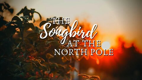 The Songbird At The North Pole