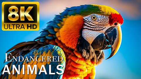 ENDANGERED ANIMALS 8K ULTRA HD