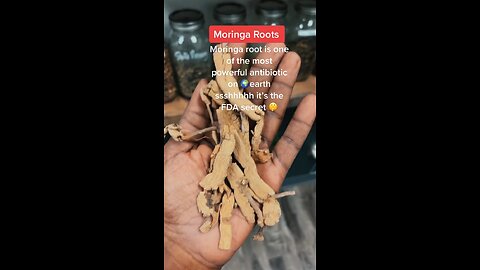 Moringa Roots