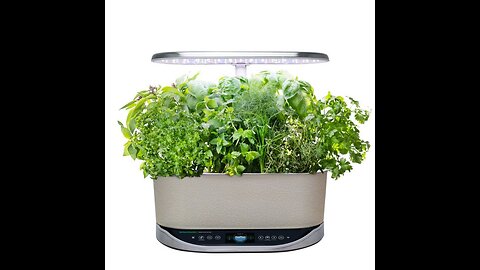 AeroGarden Be the Bee Pollinator