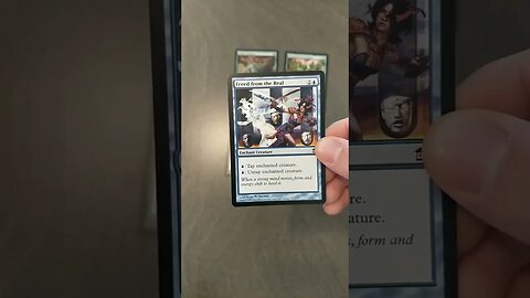 Pauper Walls Combo Explained