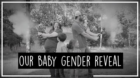 Our Gender Reveal//Heartbeat//3D/4D Ultrasound