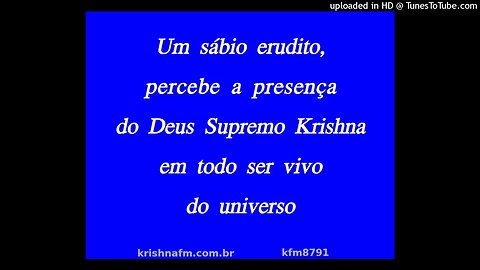 Um sábio erudito, percebe a presença do Deus Supremo Krishna em todo ser vivo do universo kfm8791