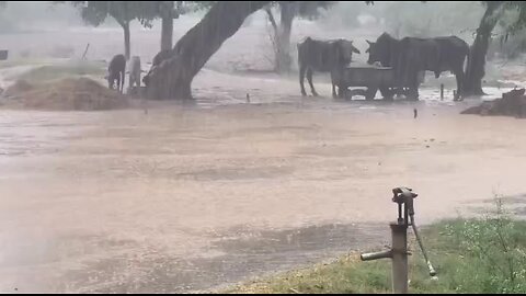 Indian Village Rain video