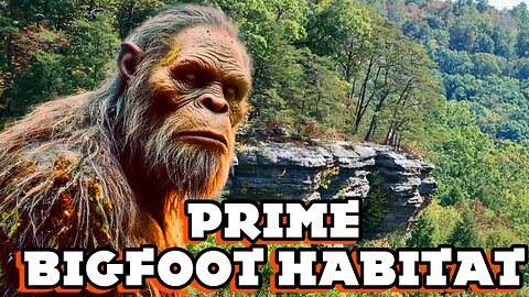 Is There PRIME BIGFOOT HABITAT in Ohio!?