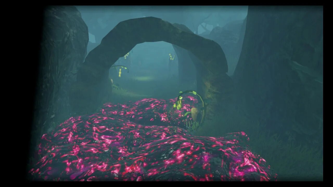 Freeing Korok Forest Korok Seeds