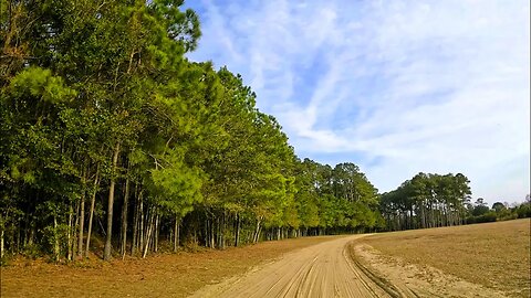 Driving West Through Cedar Point, North Carolina