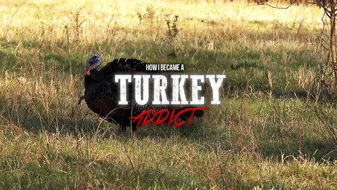 How Tom Became a Turkey Addict | Part 1