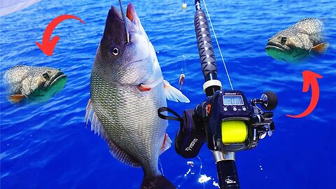 The cheapest Electric Deep Drop Reel {catch and cook]