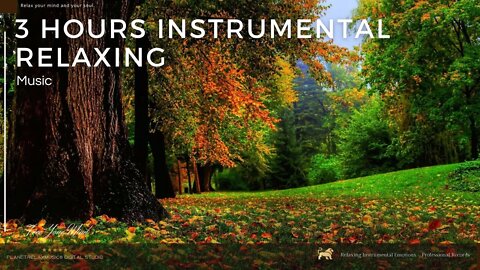 Background Relaxing Piano Music ★︎ Calming Instrumental Composition ★︎ Peaceful Vibes.