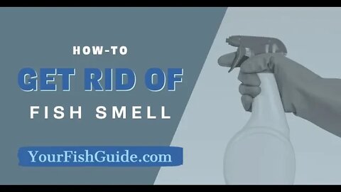 How To Get Rid Of Fish Smell In YOUR Kitchen ~ 12 Ways of Getting Rid of Fishy Smell