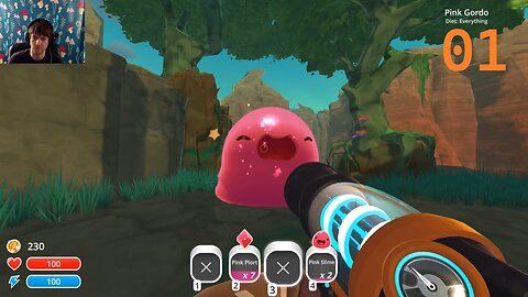 Busy Bee Booty - Slime Rancher 01