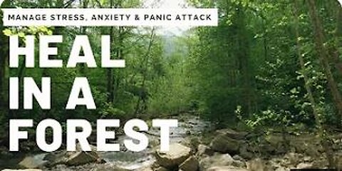 Relaxing Forest Music to Help Manage Stress, Anxiety & Panic Attack, Music for Meditation, Yoga