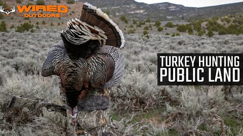 Turkey Hunting Public Land